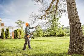 Best Tree Disease Treatment  in Temesl Valley, CA