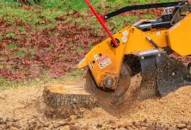 Best Tree Preservation Services  in Temesl Valley, CA